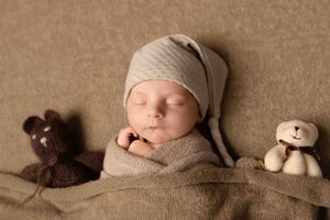 A series of connected newborn photos showing a sleeping baby with stuffed animals and soft blankets in neutral tones.