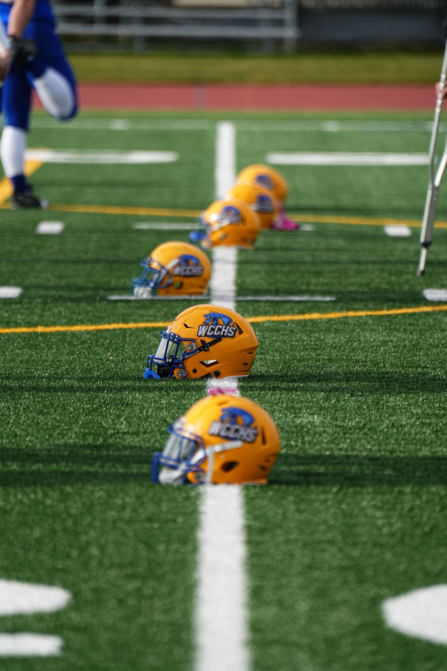 Row of yellow football helmets lined up on yard lines of a football field.