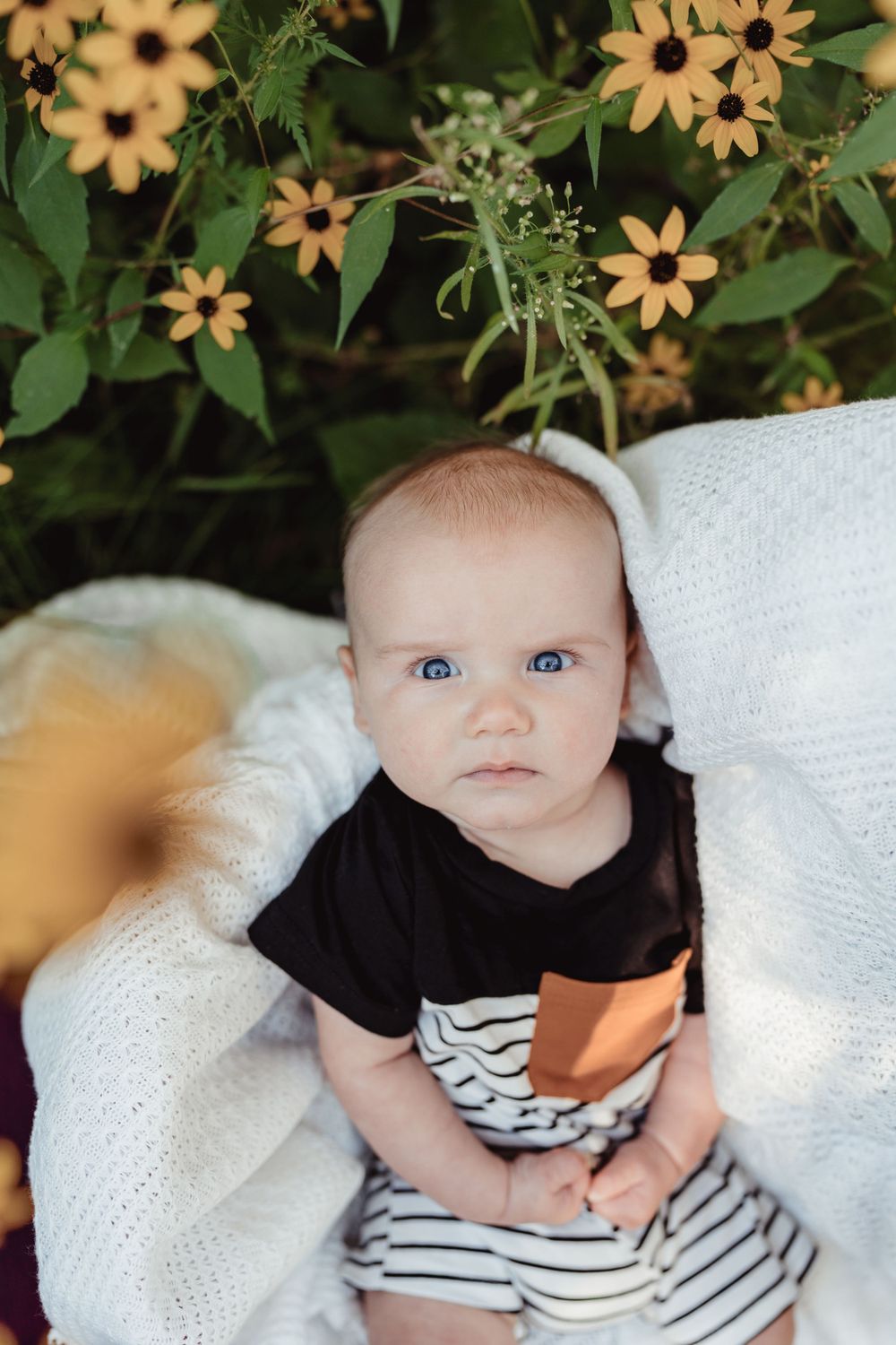 Lakeville baby outdoor photoshoot in flower field