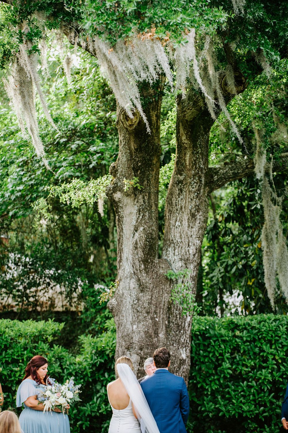 An outdoor wedding ceremony unfolds beneath towering trees draped in Spanish moss at a southern garden venue.