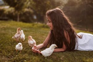 Person in white dress lying on grass playing with baby chicks in sunlit garden setting.