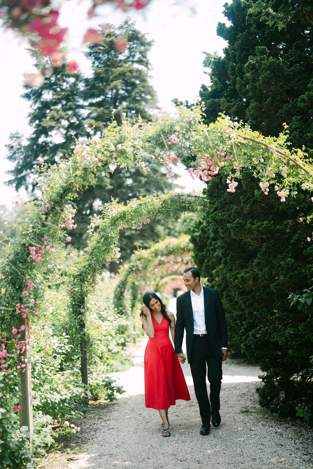 A couple walks along a garden path lined with blooming roses and greenery on a sunny day.
