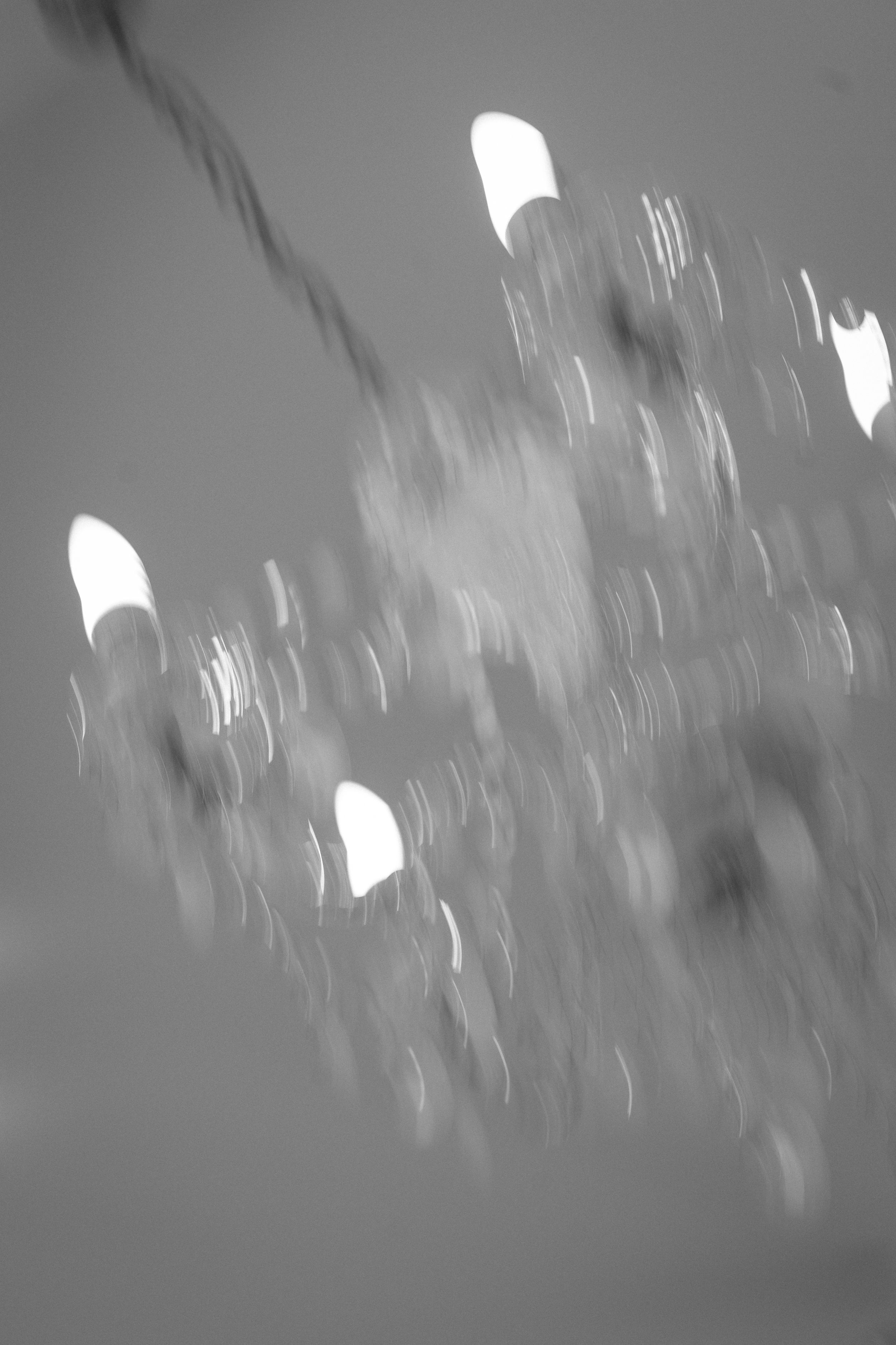 Abstract black and white photograph showing blurred lights creating a dreamy, ethereal pattern against a dark background.