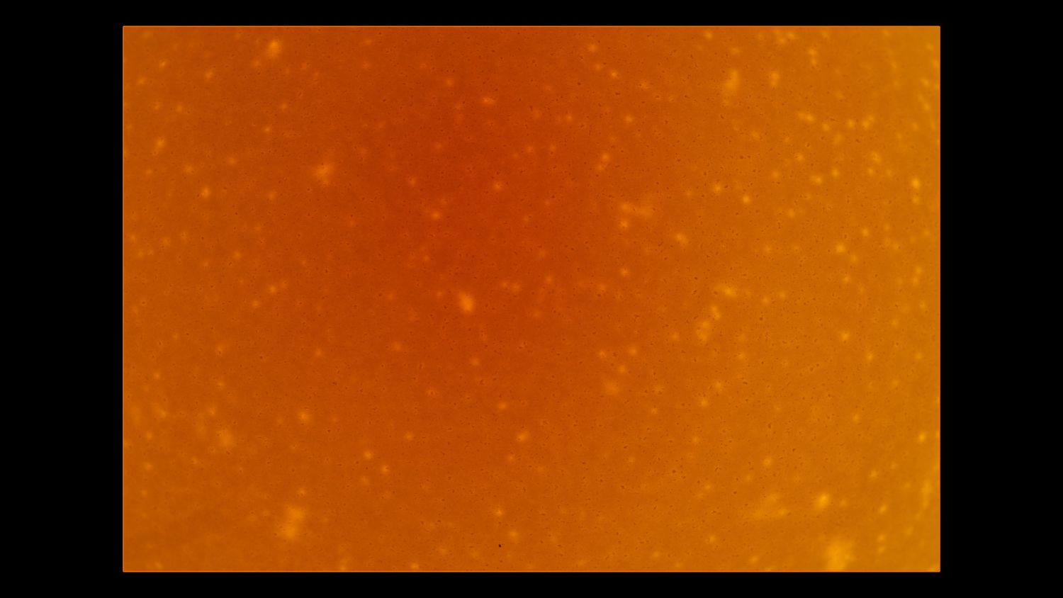 Orange textured background with a gradient effect shows subtle variations in tone and lighting.