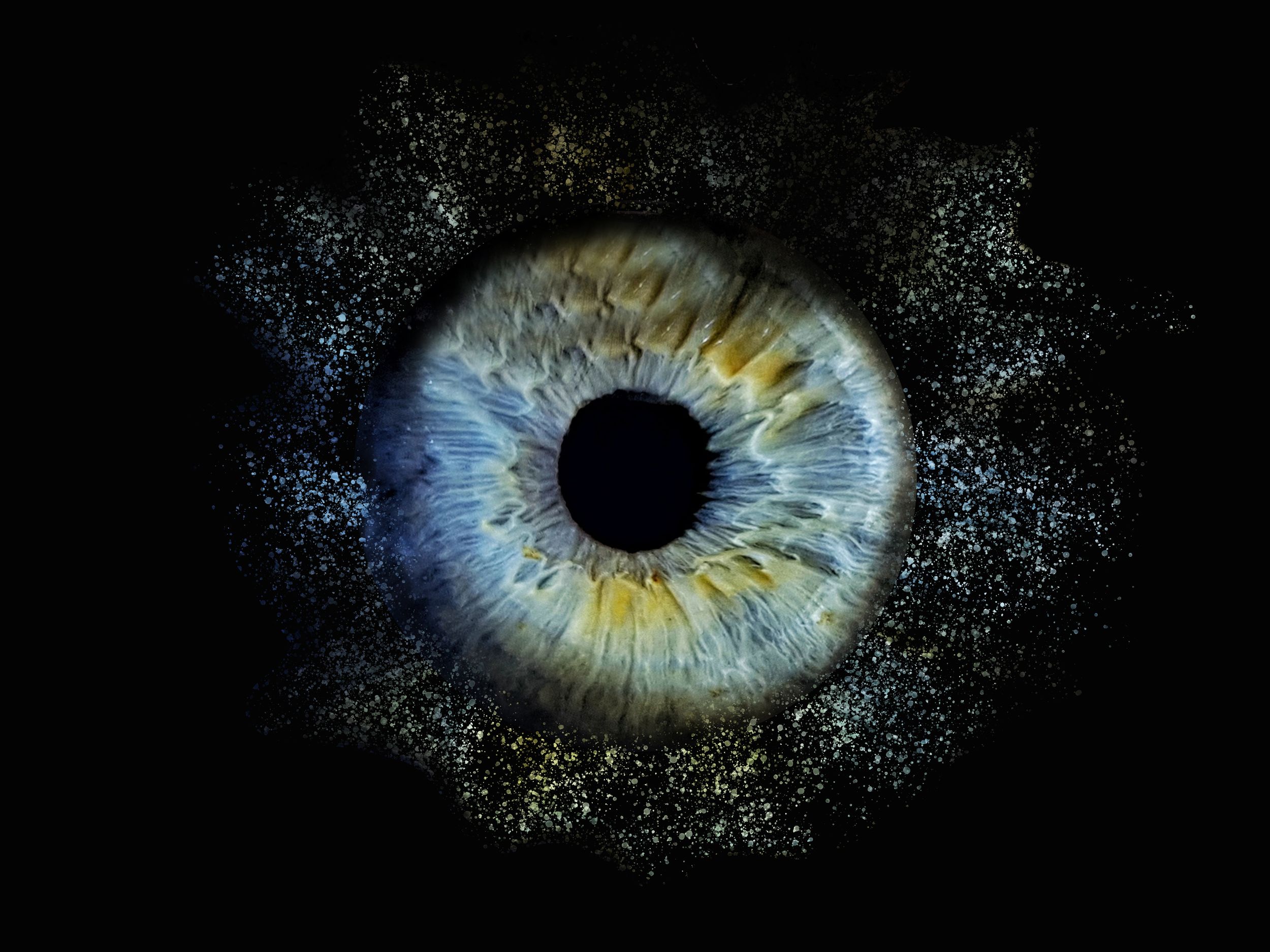 Close-up of blue and yellow iris with sparkling stardust effect on black background.