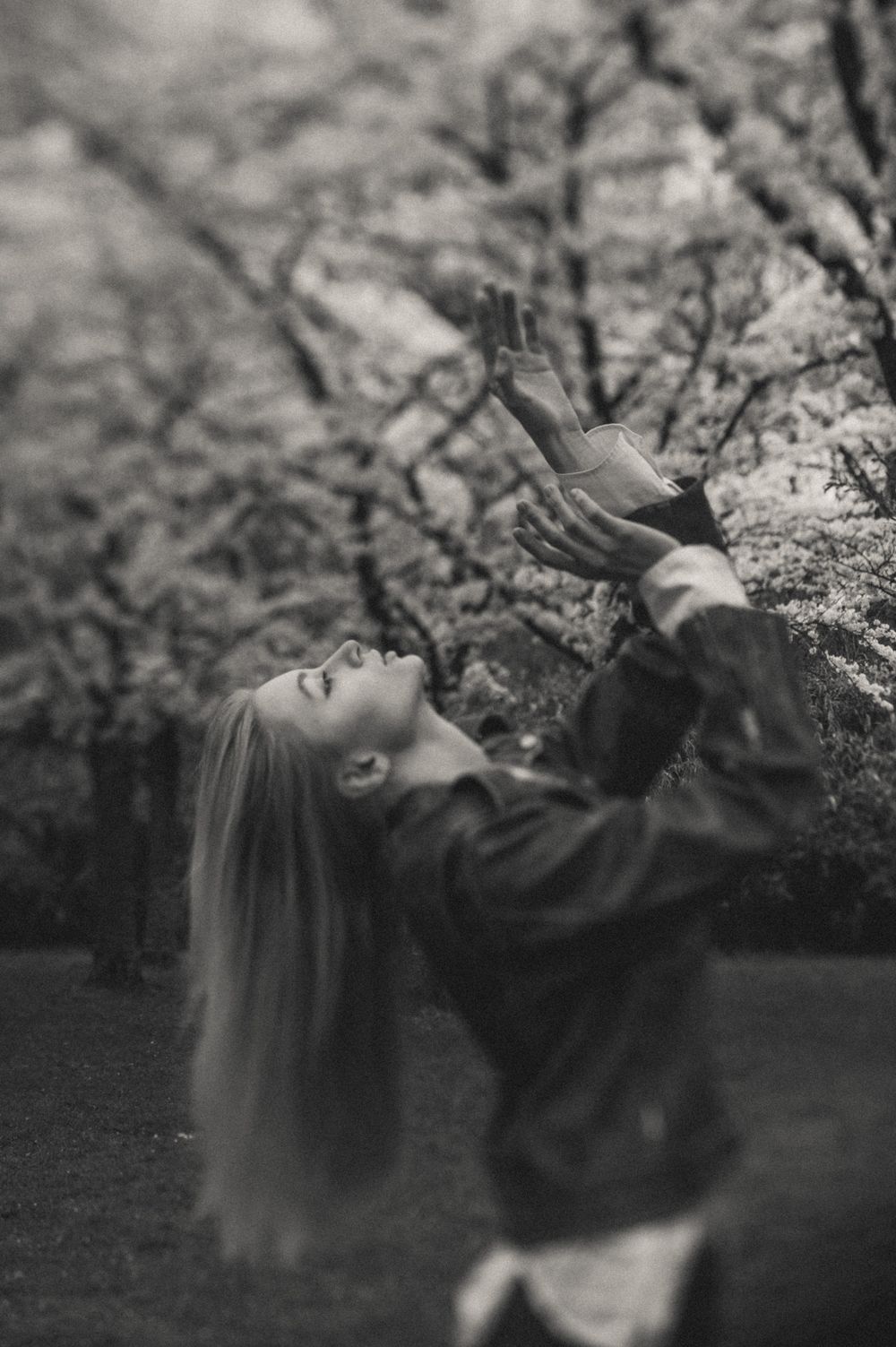 Artistic portrait under blooming cherry blossom trees in black and white.
