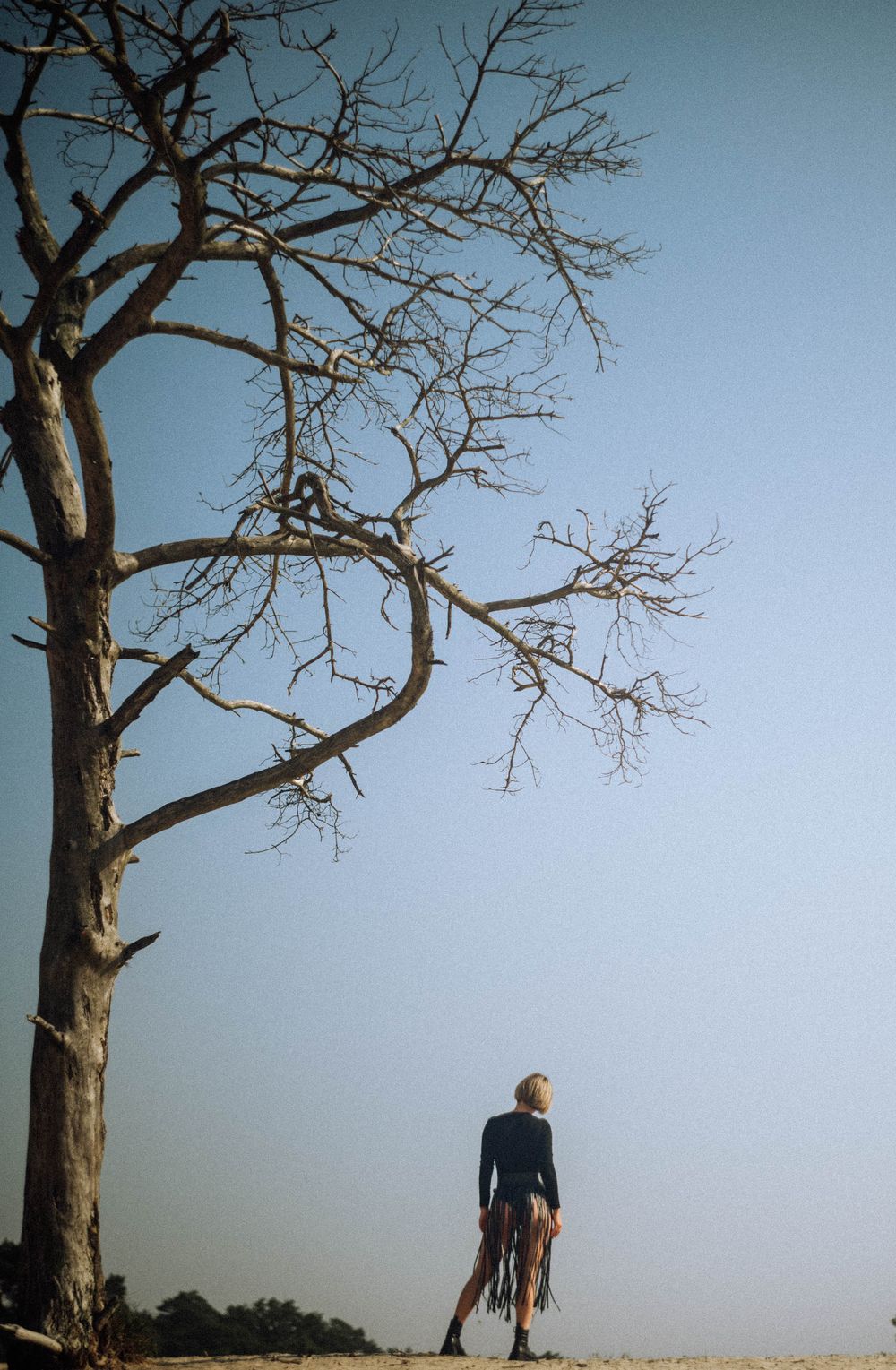 Silhouette of bare winter trees against pale blue sky with figure in distance.