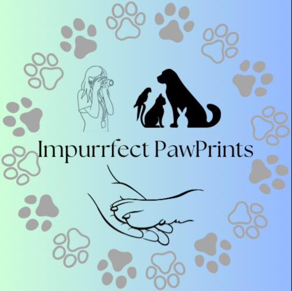 Impurrfect PawPrints pet photography logo with paw prints, a photographer, and animals on gradient background.