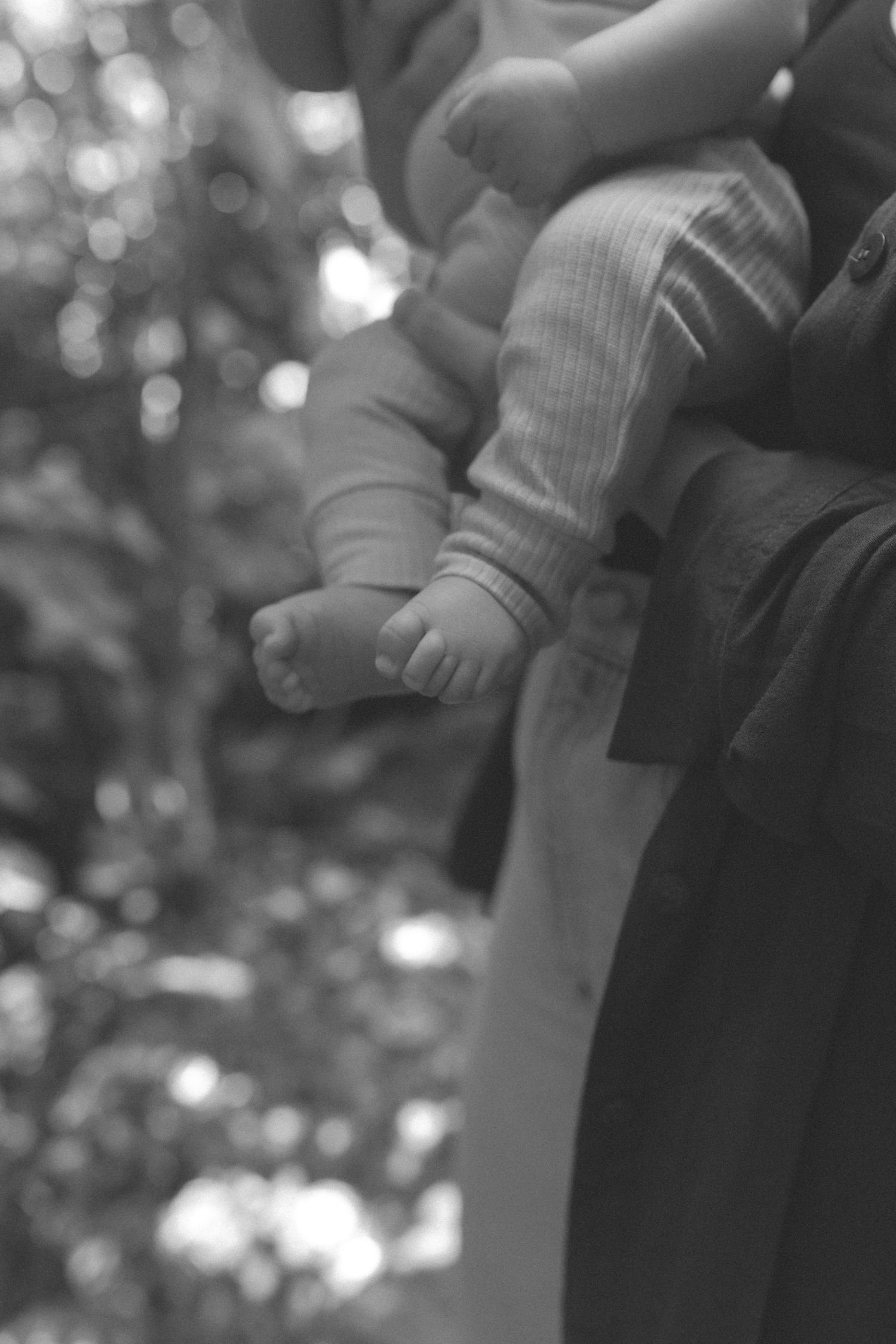 Wellington Newborn Photography
