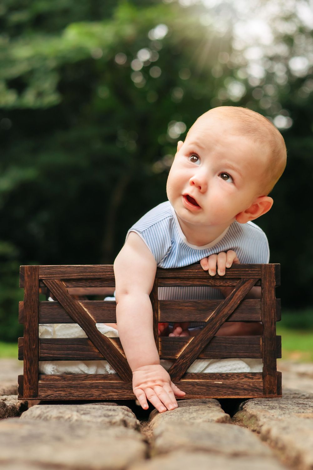 Little boy sits in basket during his 6 month milestone session in Athens, GA.