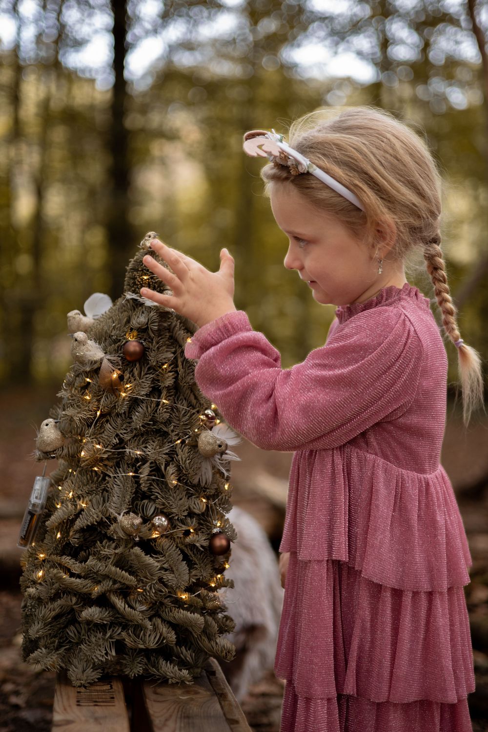 Kinderfotograaf Sint Truiden, Kinderfotograaf Tienen, Limburg, Vlaams-Brabant, gezinsfotograaf, familiefotograaf,  kerstmini's, kerstfoto's