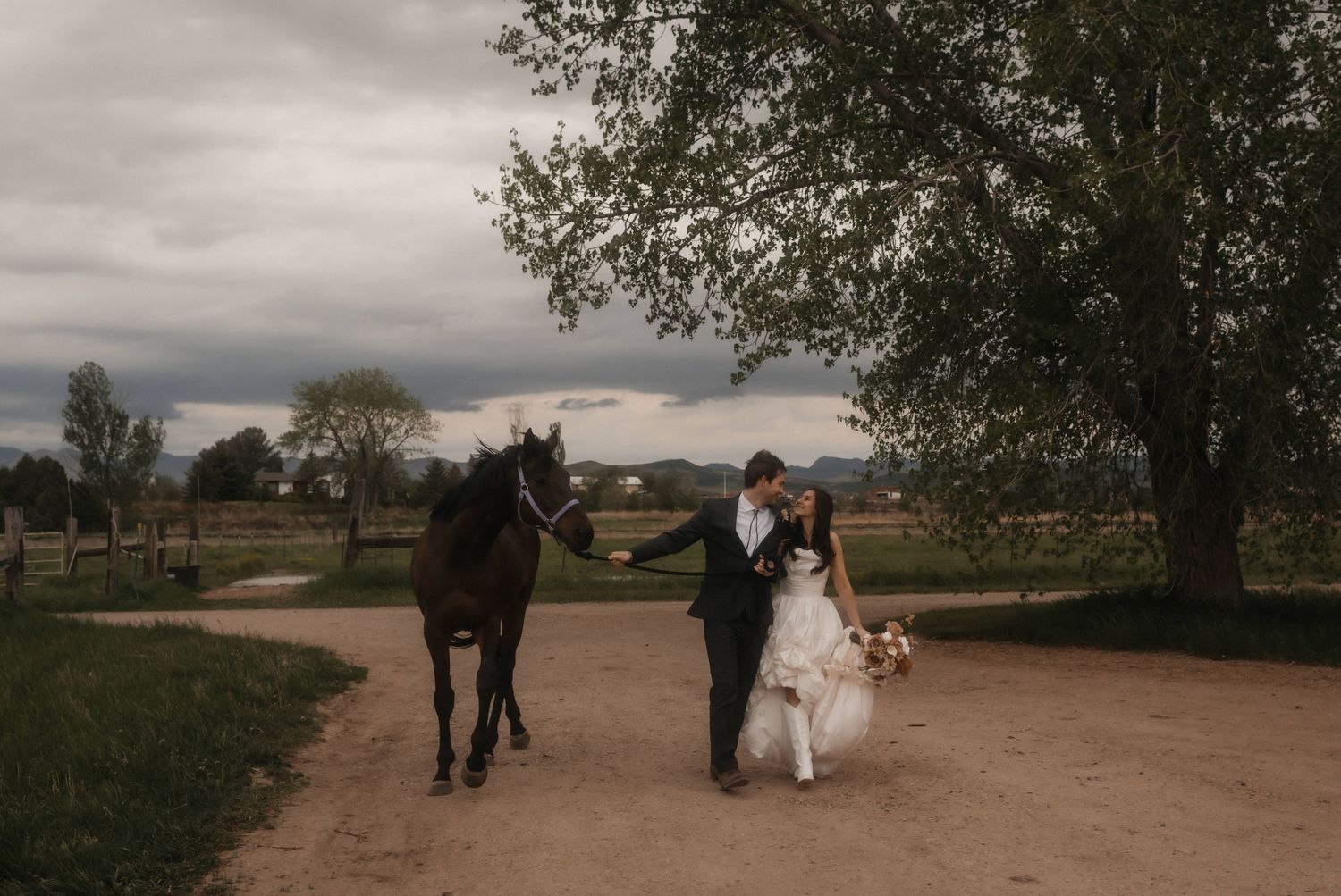 A horse stands beside a couple in formal wedding attire against a cloudy sky and rural landscape.