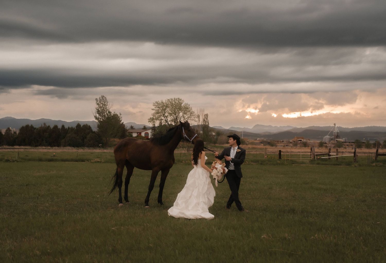 Panoramic wedding photo in field with horses under moody storm clouds at dusk.