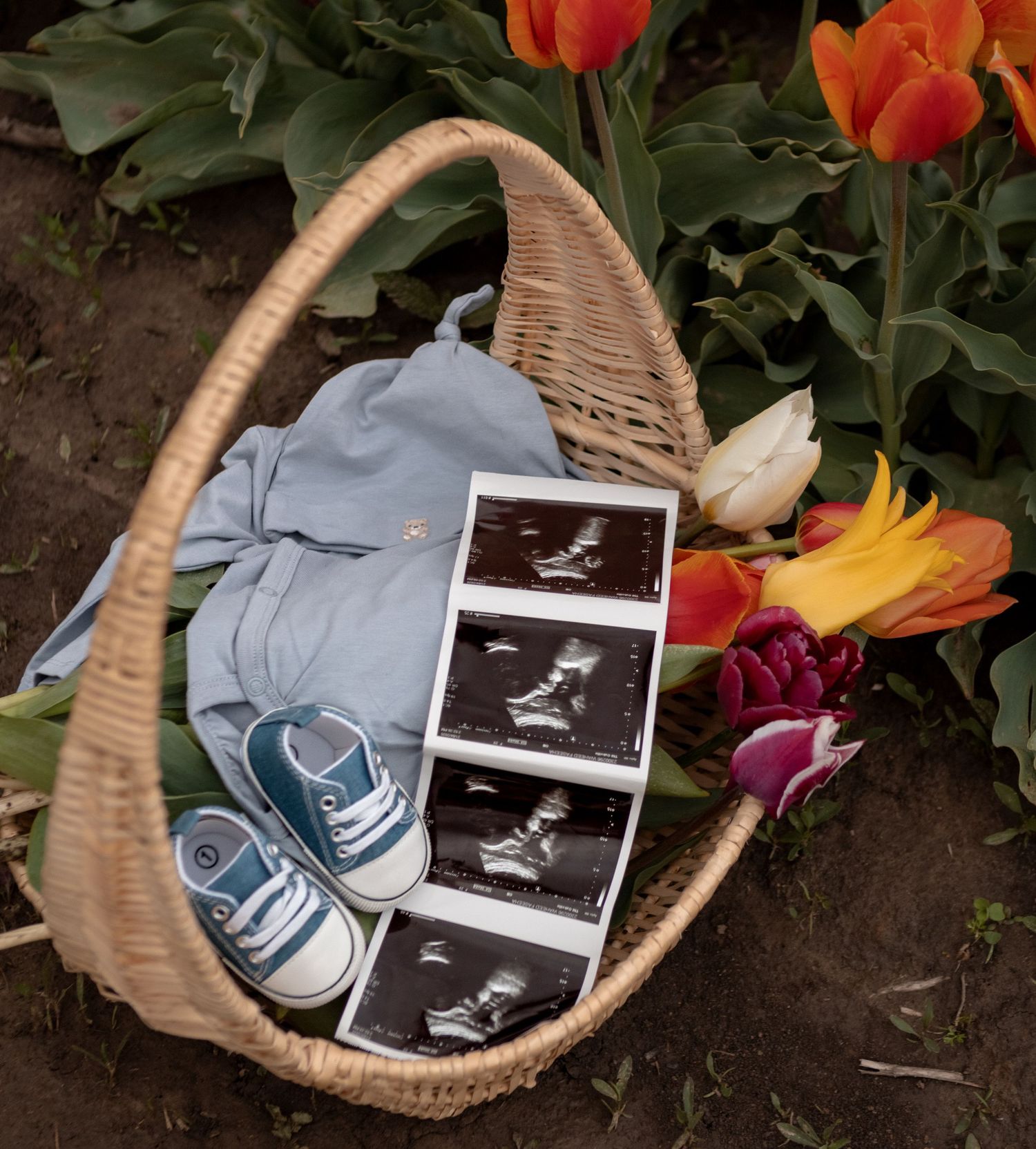 Maternity, baby bump, pregnancy photos, maternity photos, maternity photoshoot, maternity photography, maternity photographer, mom, dad