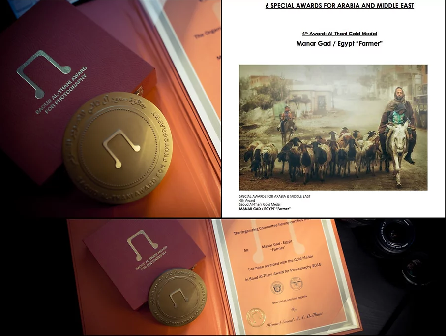 Collection of certificates and awards with golden seals and decorative artwork.