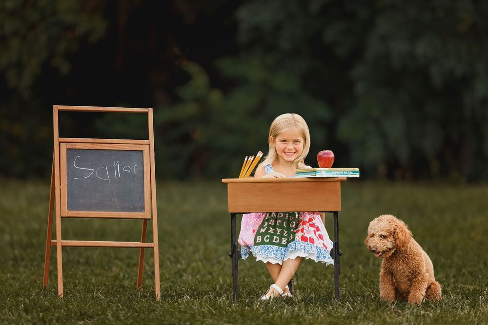 A playful outdoor scene with a toy desk, chalkboard, and a goldendoodle puppy sitting on green grass.