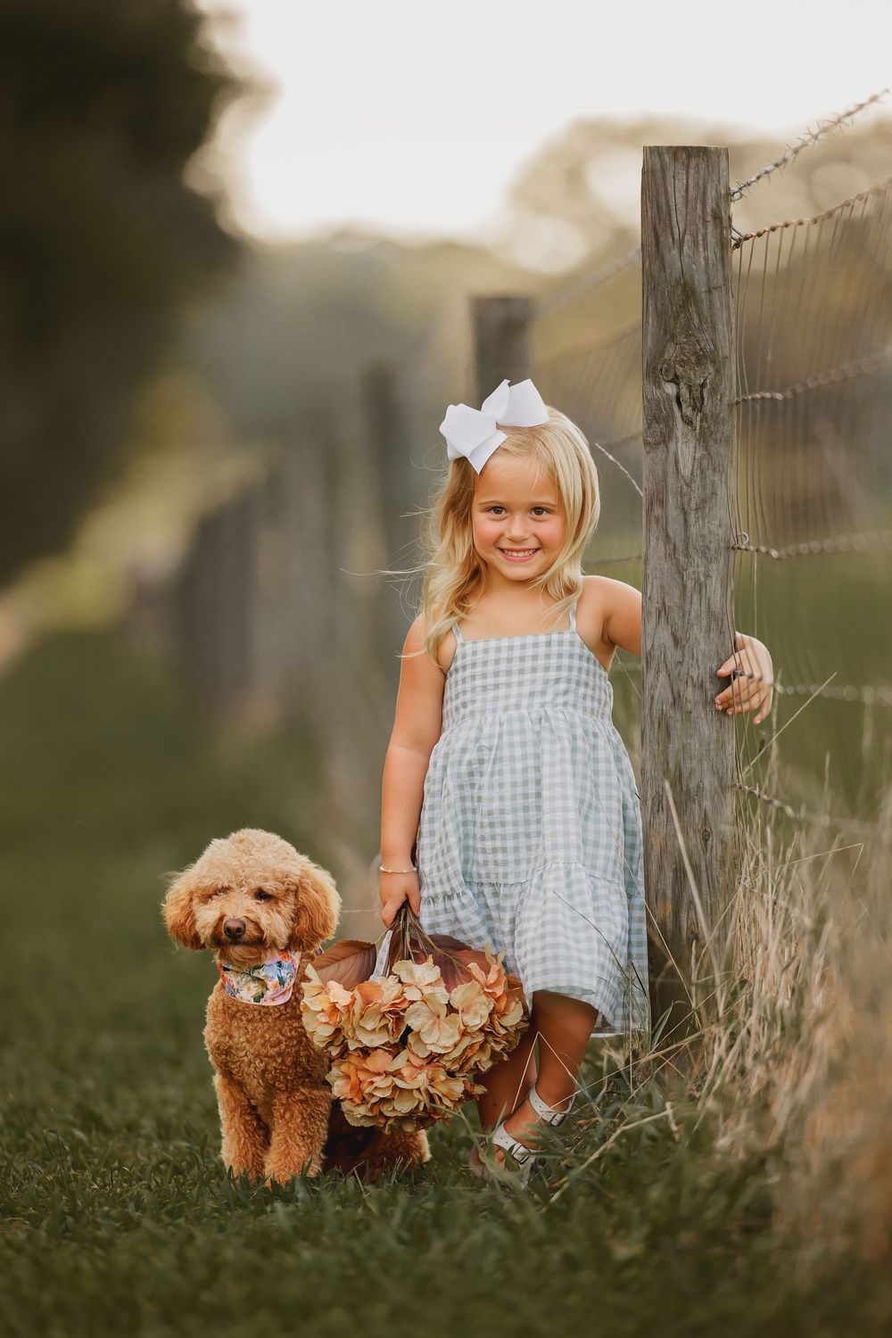 Young child in blue gingham dress poses with teddy bears and flowers by rustic wooden fence at sunset.