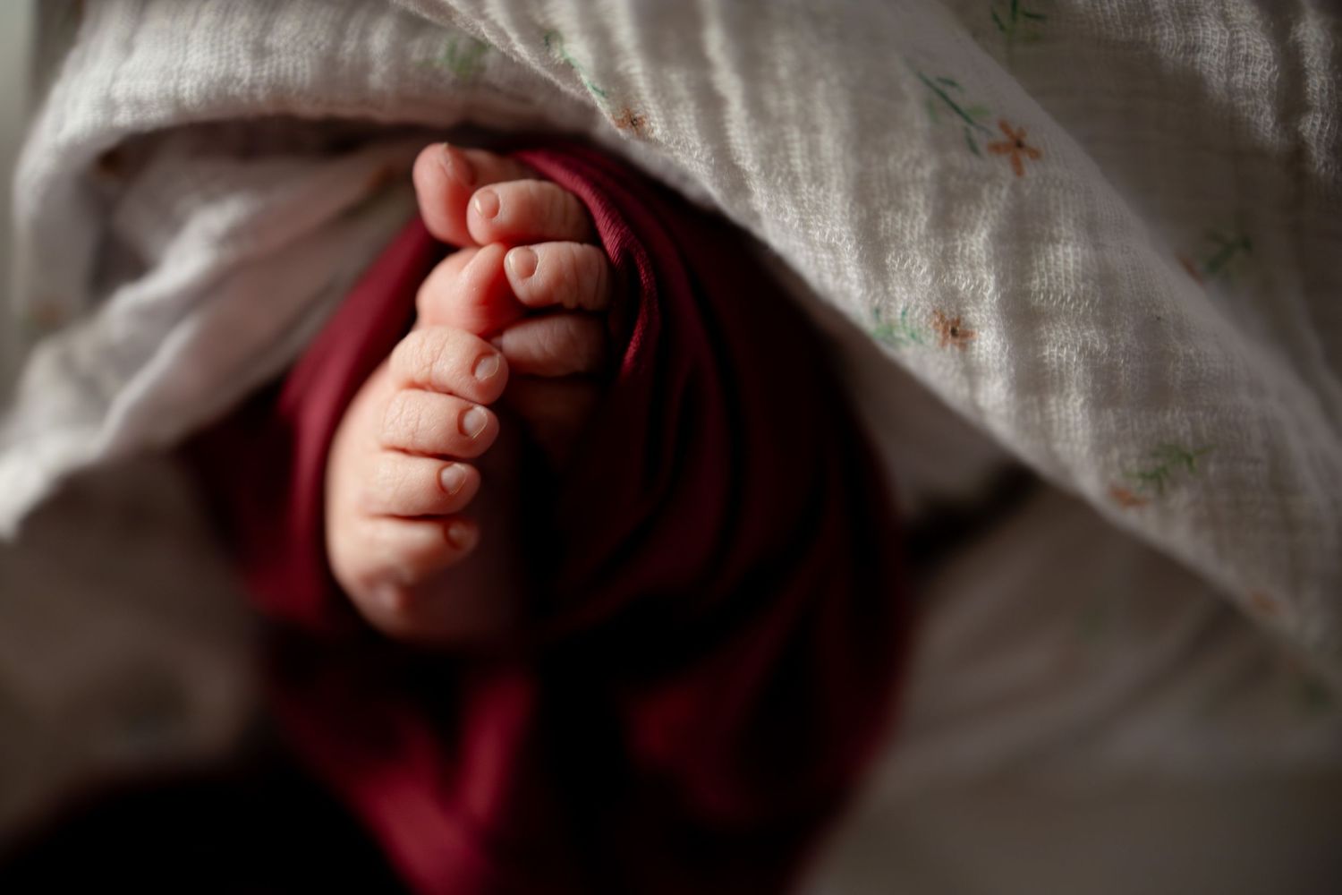 Newborn baby tiny feet peeking out from under white blanket with red swaddle wrap in soft light.