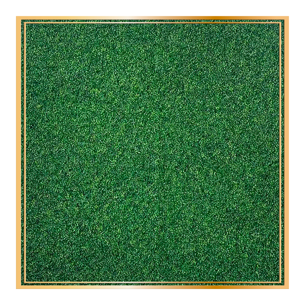 HEDGE WALL BACKDROP