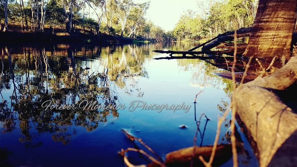 Serene lake panorama with sunlit autumn trees reflecting in tranquil blue water under clear skies.