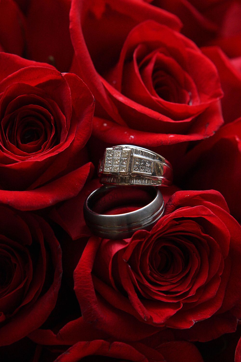 Denver Wedding Photography by Ash Moon