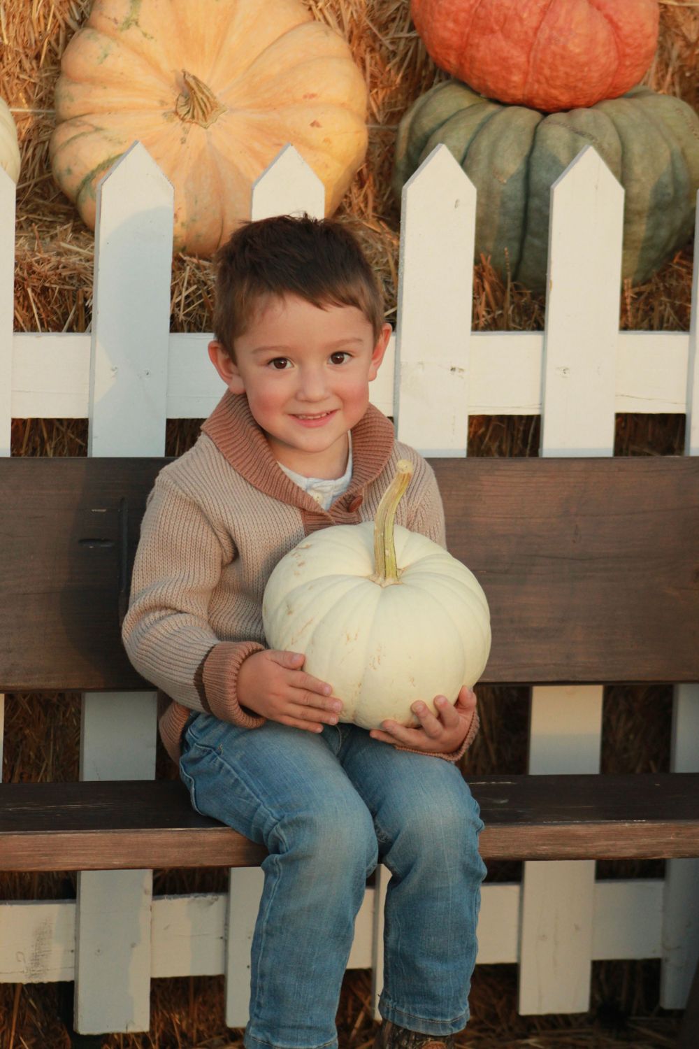 Young boy holds white pumpkin while sitting on bench with autumn decorations and fence behind him.
