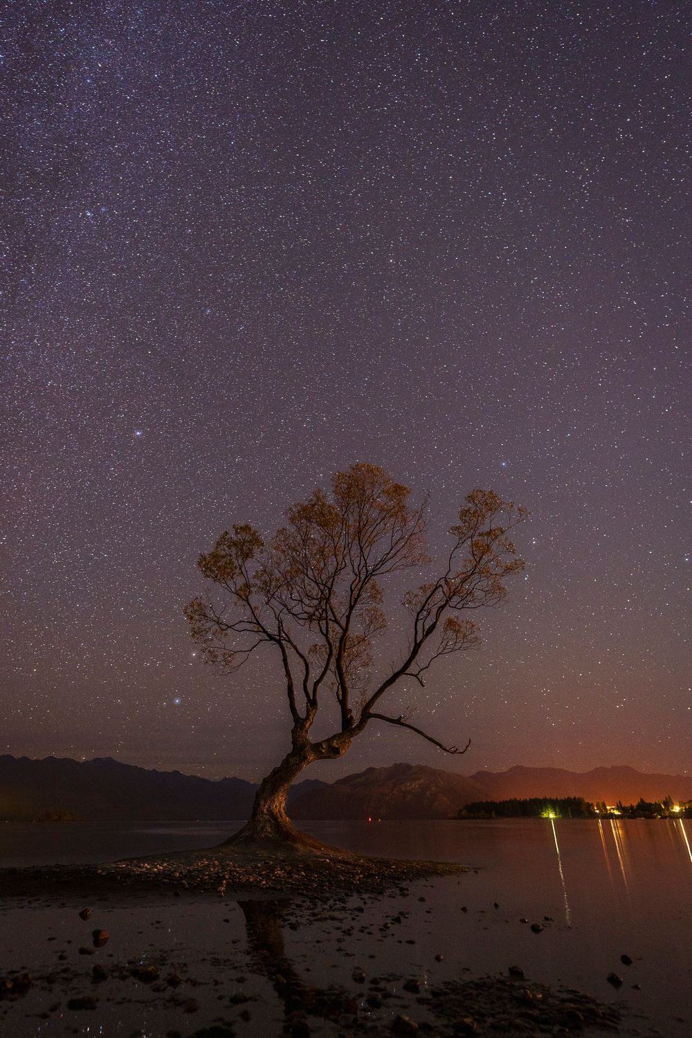 Astro over Wanaka Tree NZ