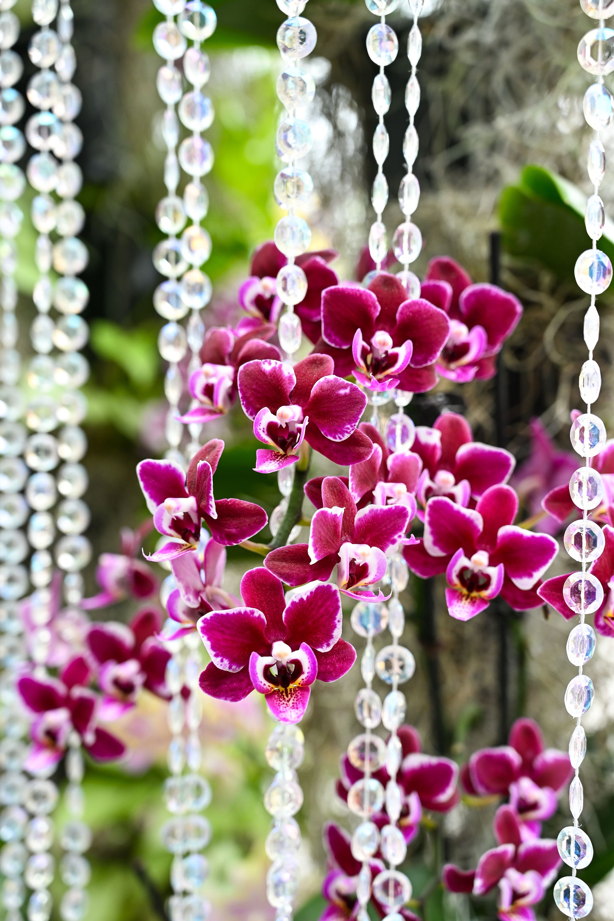 Crystal bead curtains hang in front of vibrant magenta orchids creating an elegant wedding decoration display.
