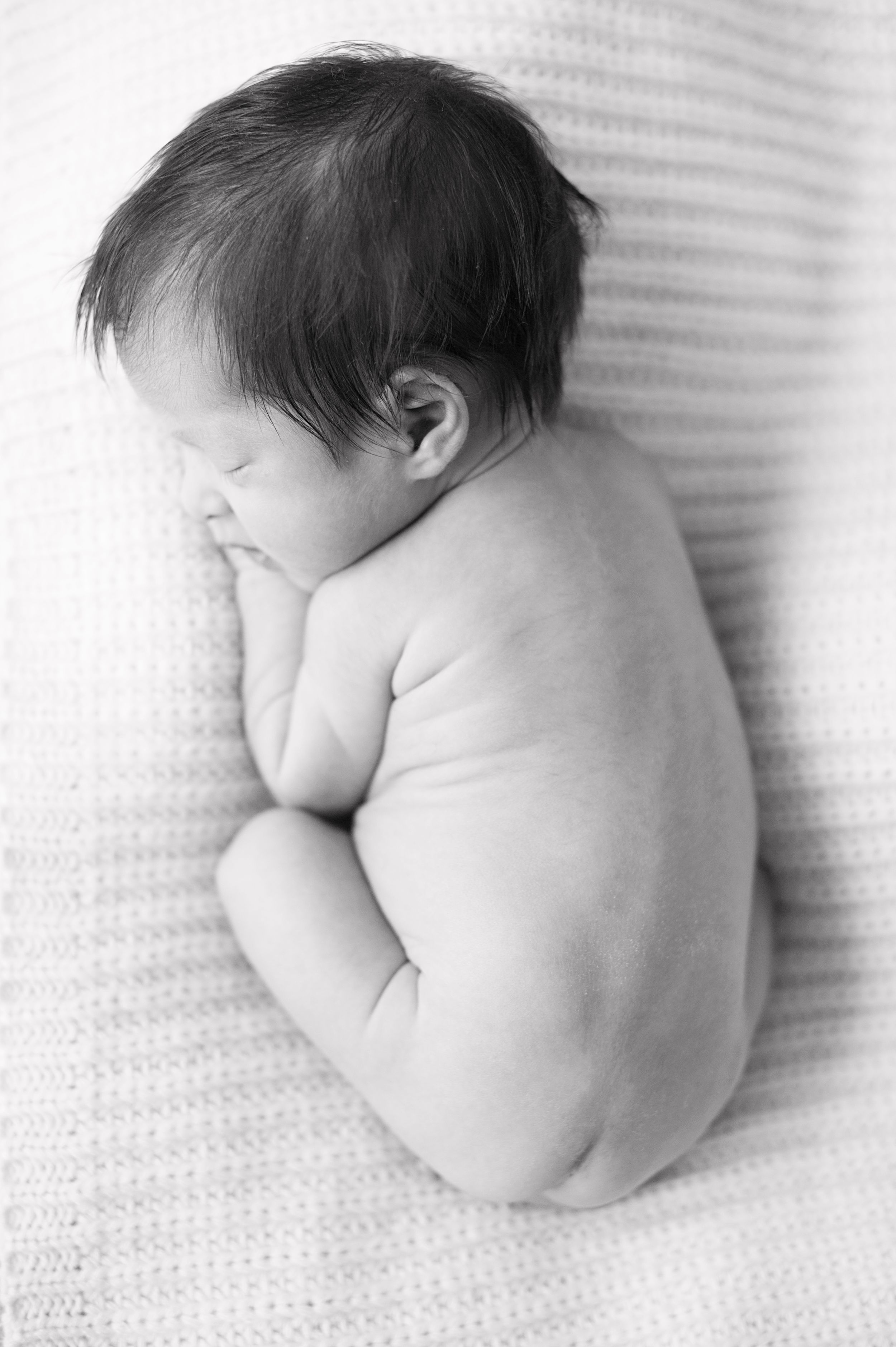 Black-and-white portrait of a newborn curled up on a textured blanket, photographed by Phoebe Lee Photo in Toronto.