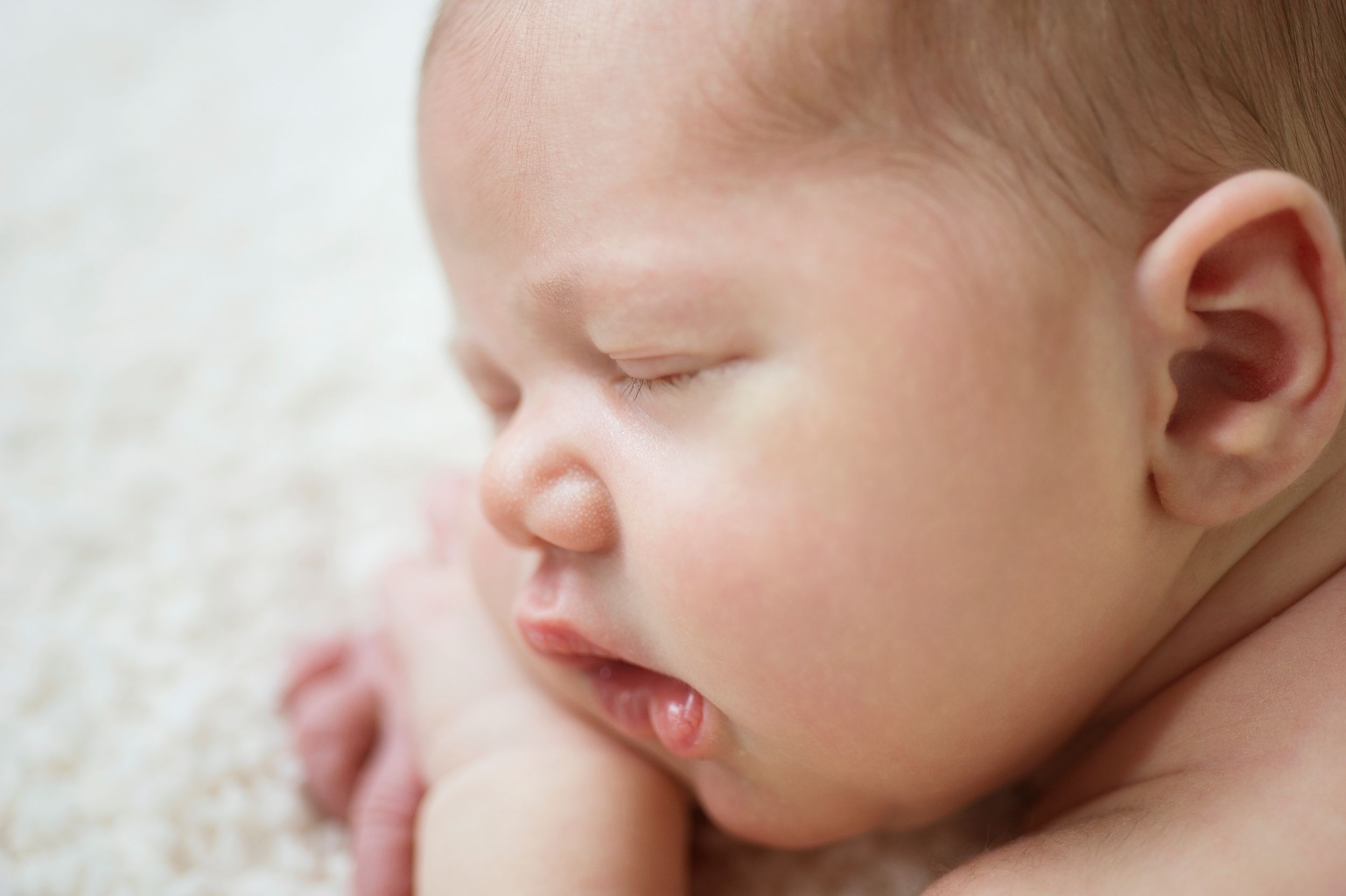 Close-up of a peacefully sleeping newborn on fluffy white surface, photographed by Phoebe Lee Photo in Toronto