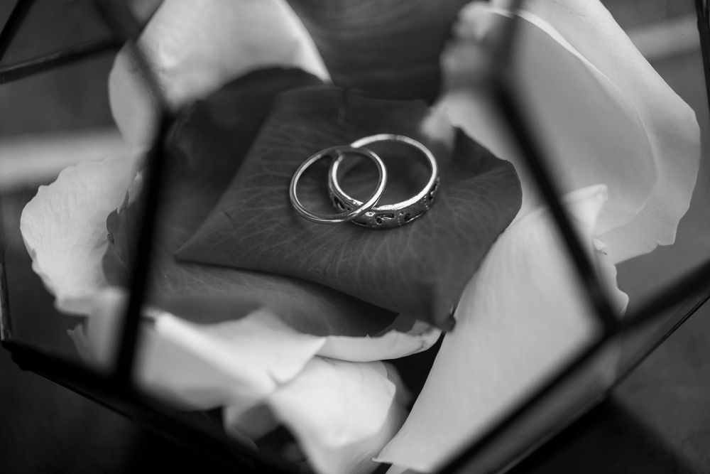 Two wedding rings rest on a black cushion surrounded by white flower petals in a black and white photograph.