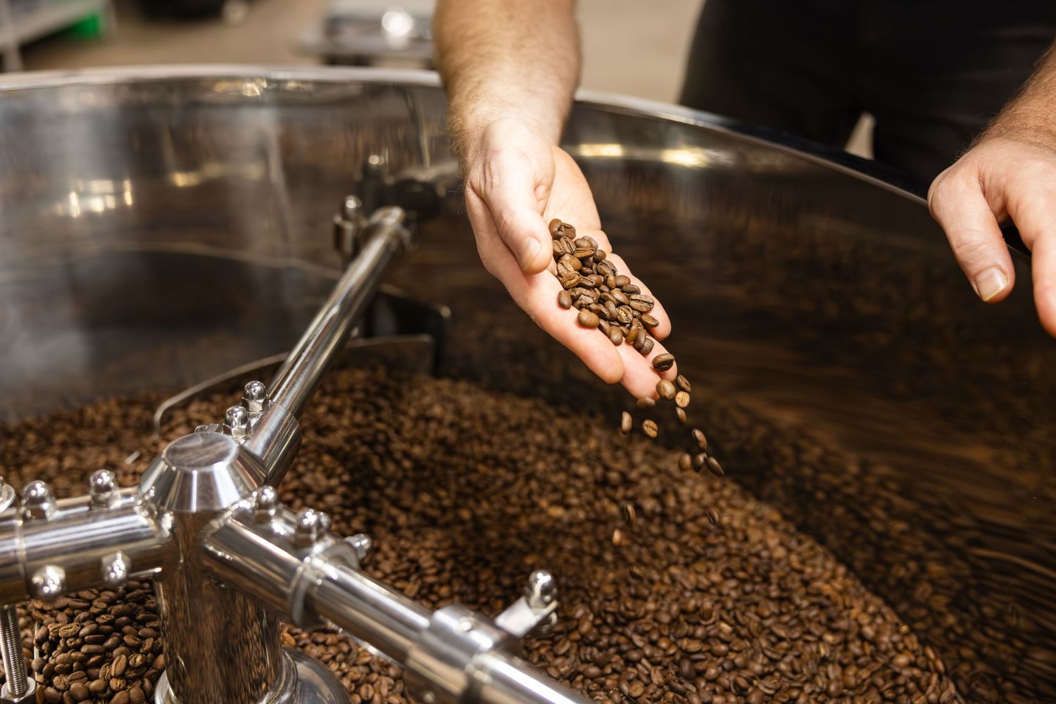 A hand examines freshly roasted coffee beans over a cooling tray with scattered beans and stirring equipment.