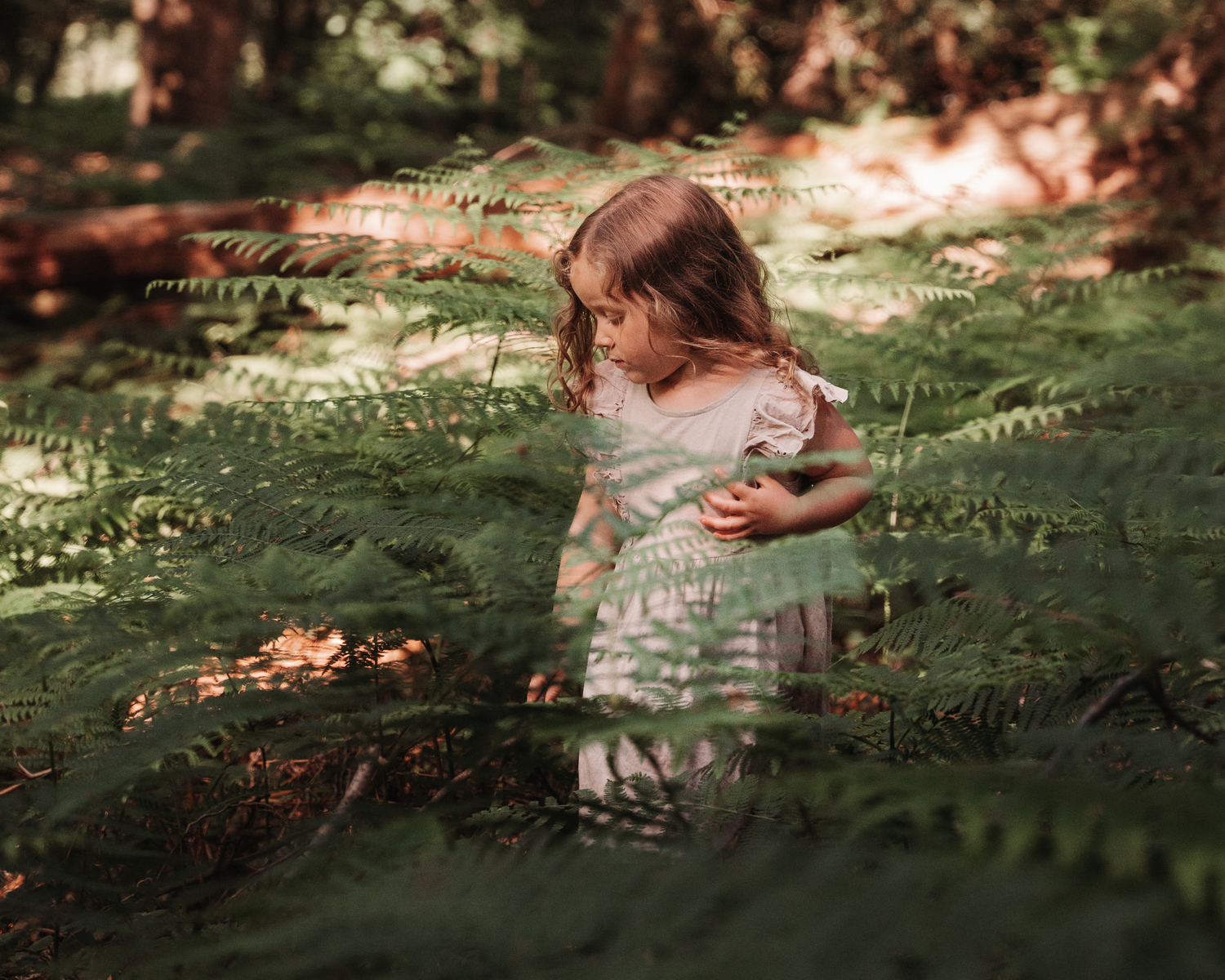 Child in dress standing among ferns in forest.
