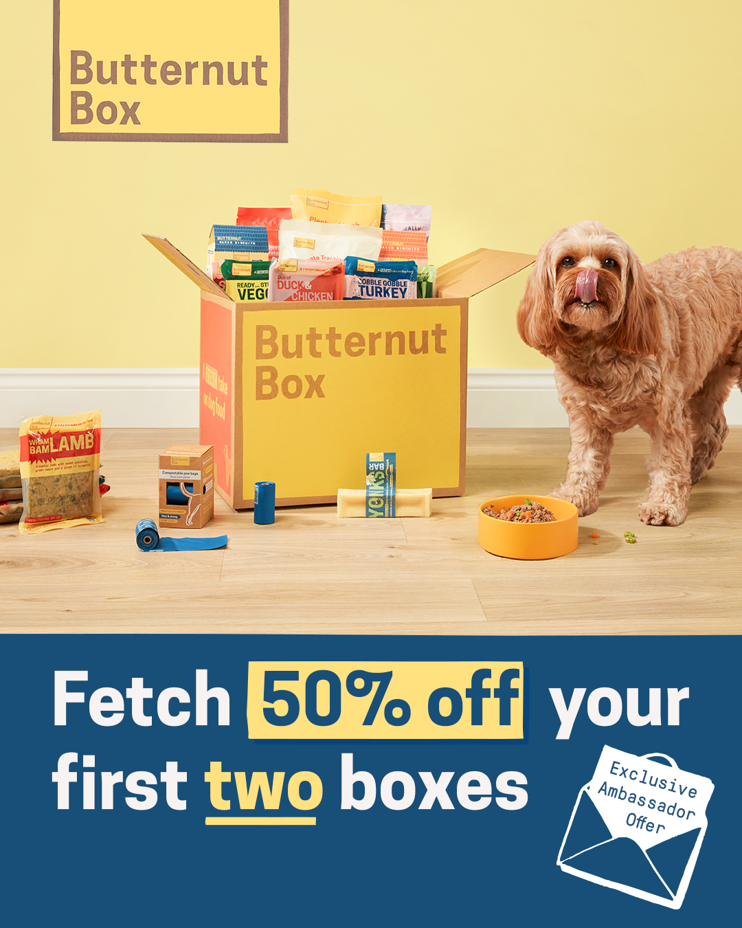A brown and yellow logo design featuring text that reads 'Butternut Box Ambassador' in a minimalist style. https://butternutbox.com/TimJones