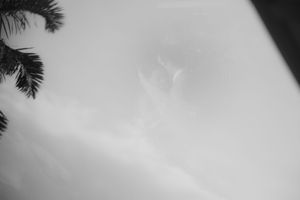 Wedding photographer Tuscany | Destination wedding Italy | Villa wedding Florence | Luxury Wedding Party.