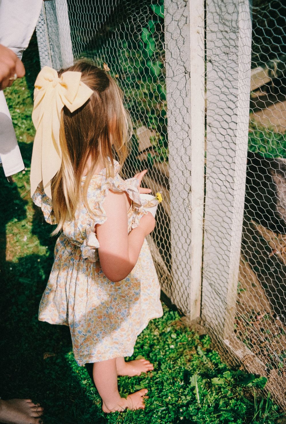 A child in a floral dress explores plants and flowers along a wire fence on a sunny day.