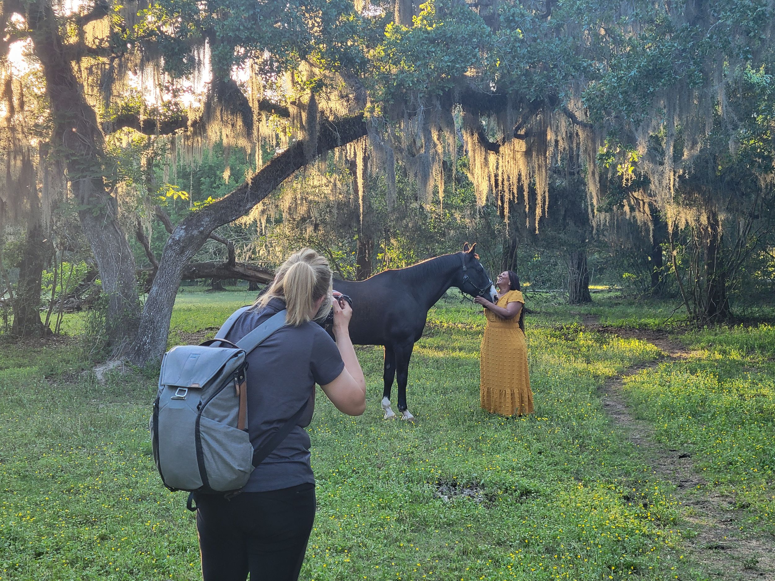 Photographer guiding horse and client with gentle cues during equine portrait session.
