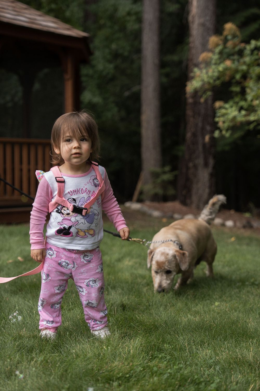 Small child in pink Minnie Mouse outfit plays in grassy yard while dog explores in background.