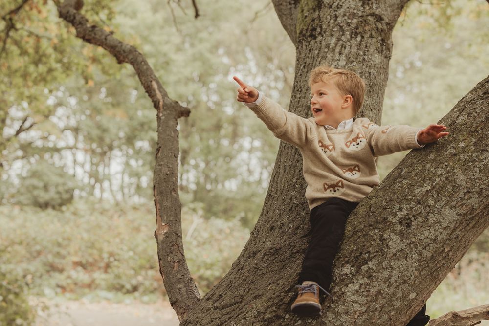 A person climbs a large tree branch in a sunlit forest setting.