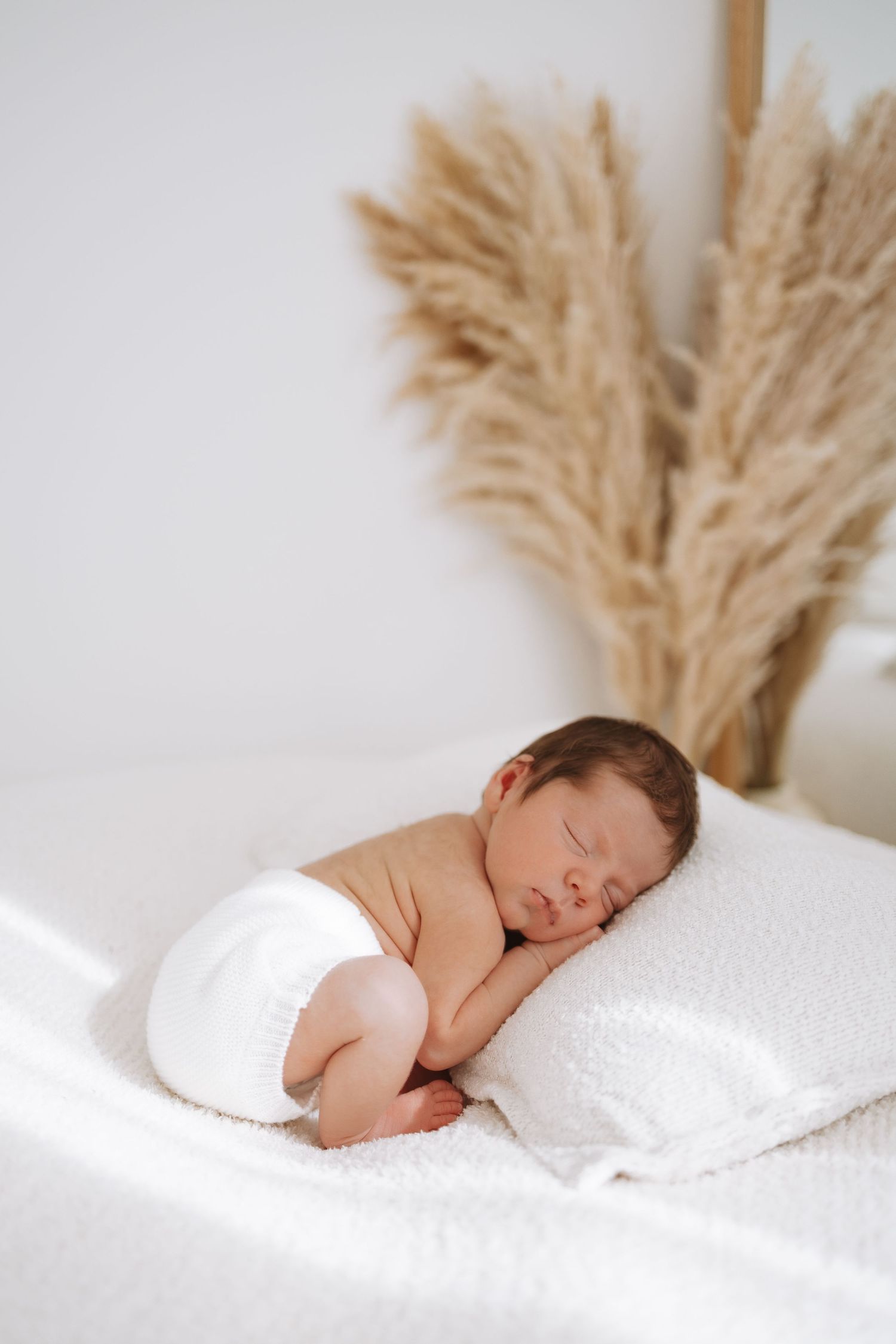 A sleeping newborn baby lies on soft white bedding with decorative pampas grass in the background.