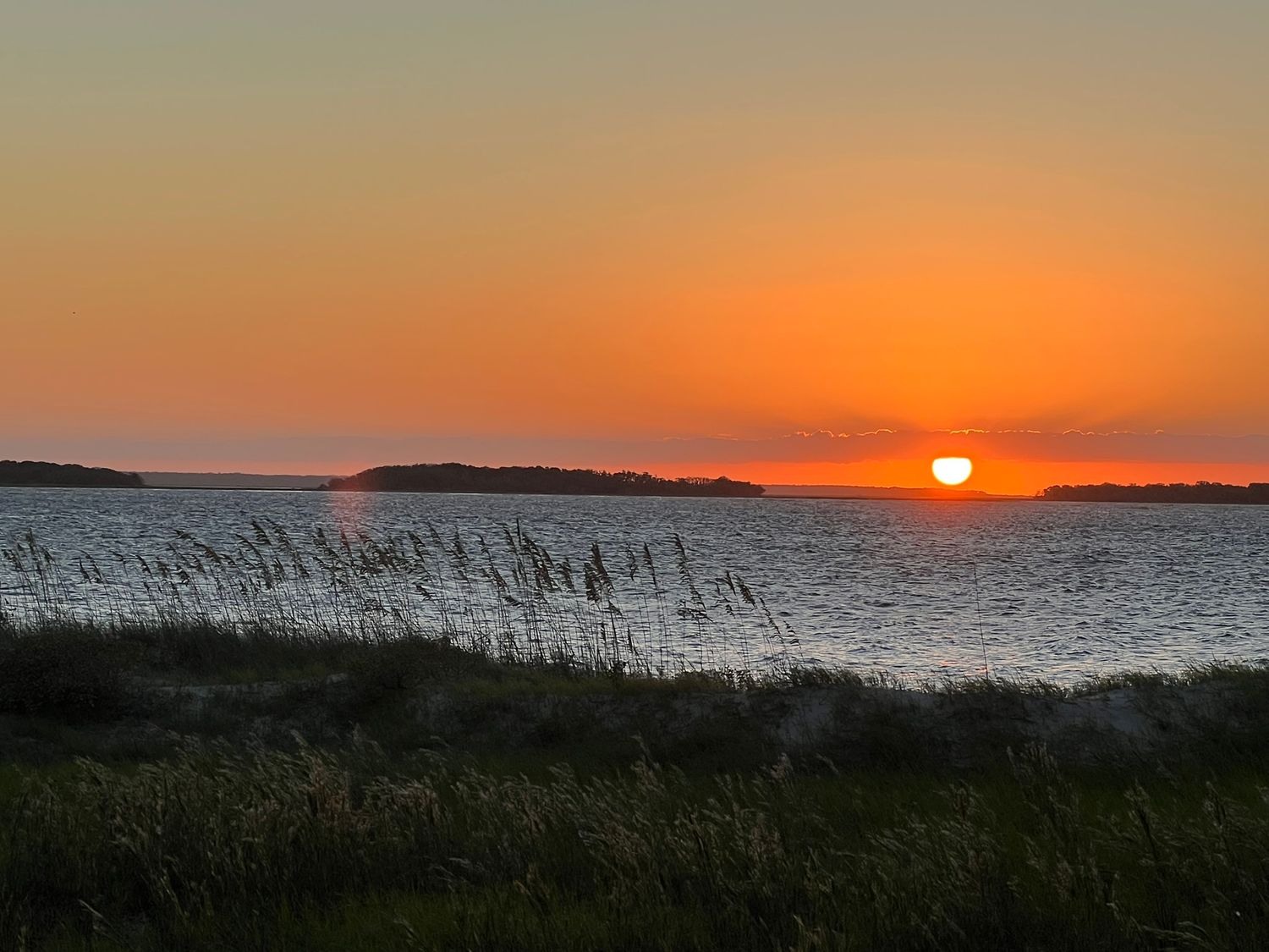A vibrant orange sunset reflects over calm coastal waters with sea grass silhouetted in the foreground.