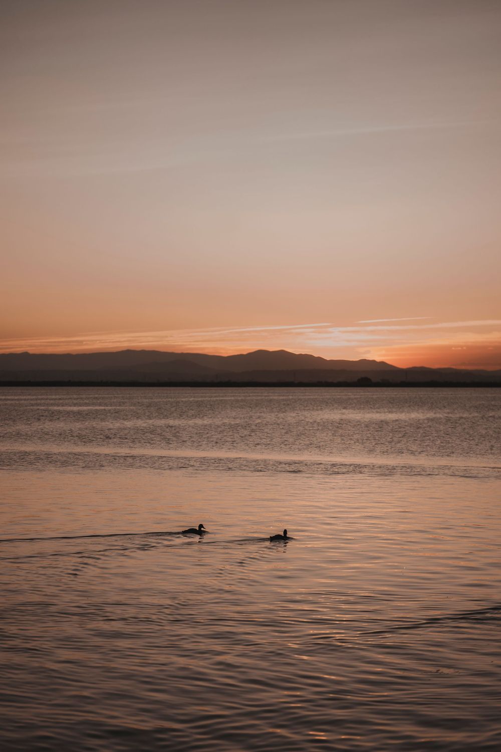 Close up portrait of a romantic couple with the warm sun fading behind the horizon.