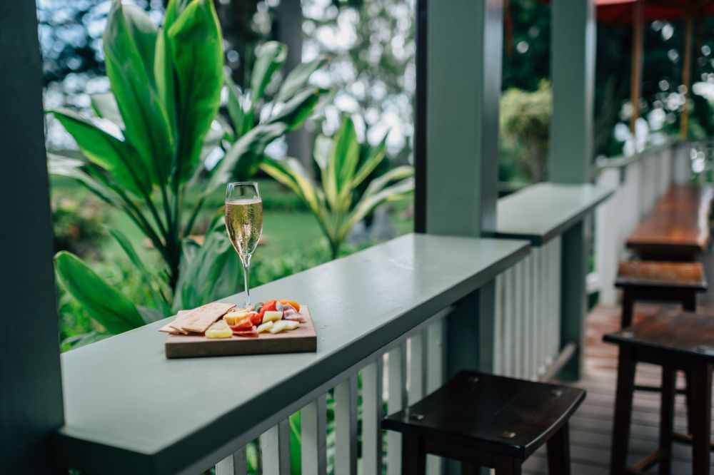 Modern restaurant interior with large windows and tropical plants creating an airy atmosphere.