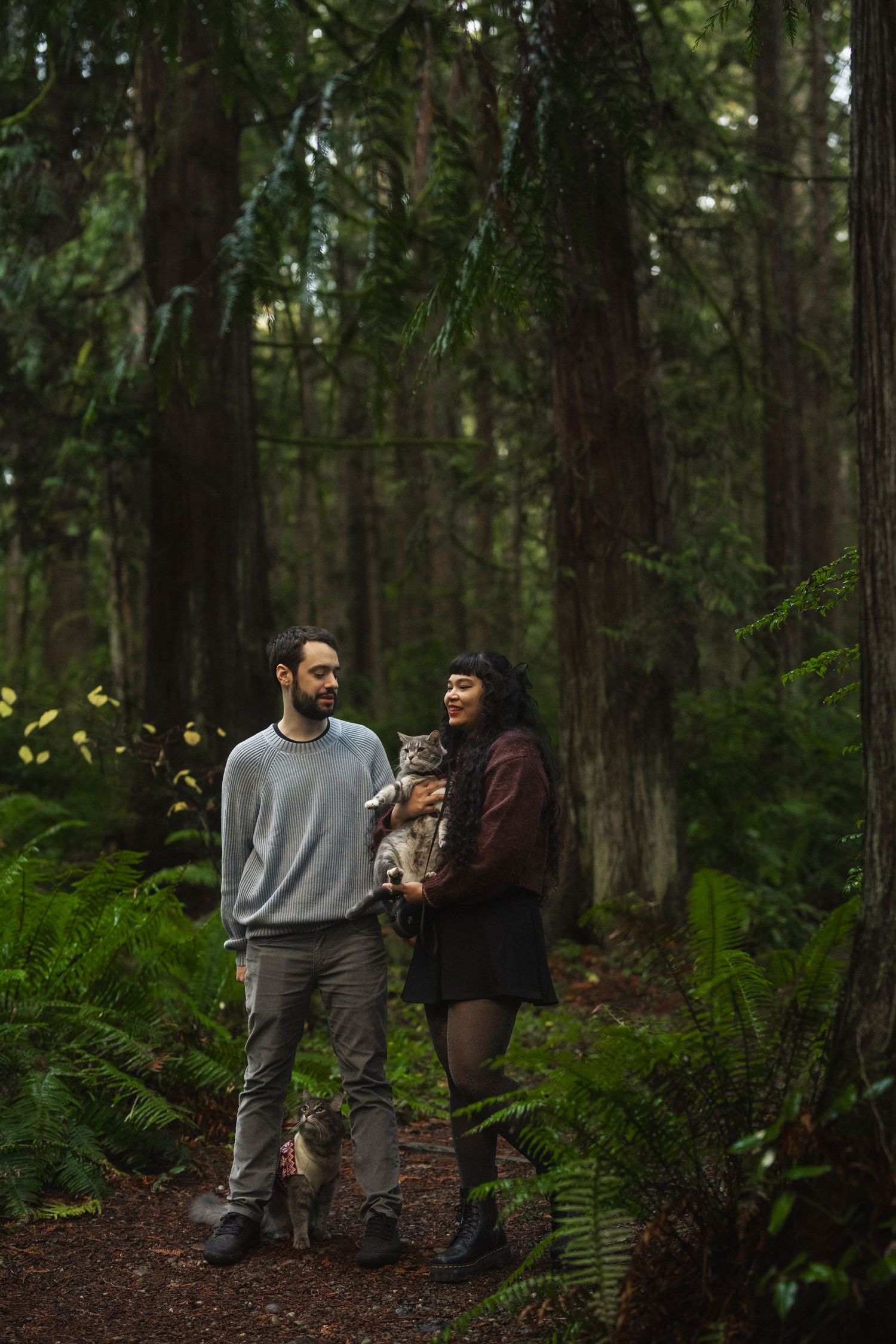 A couple walks together through a lush forest path surrounded by ferns and tall evergreen trees.
