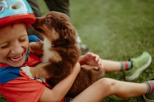 A joyful interaction between a brown dog and person in a red shirt outdoors on grass.