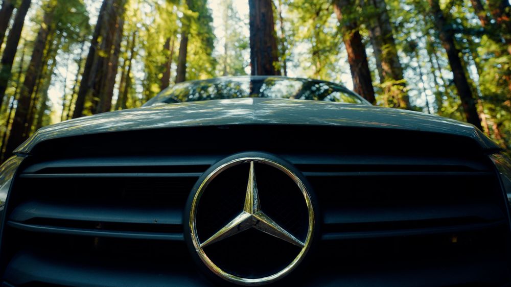 A scenic forest road with tall evergreen trees and a Mercedes van parked along the winding path.