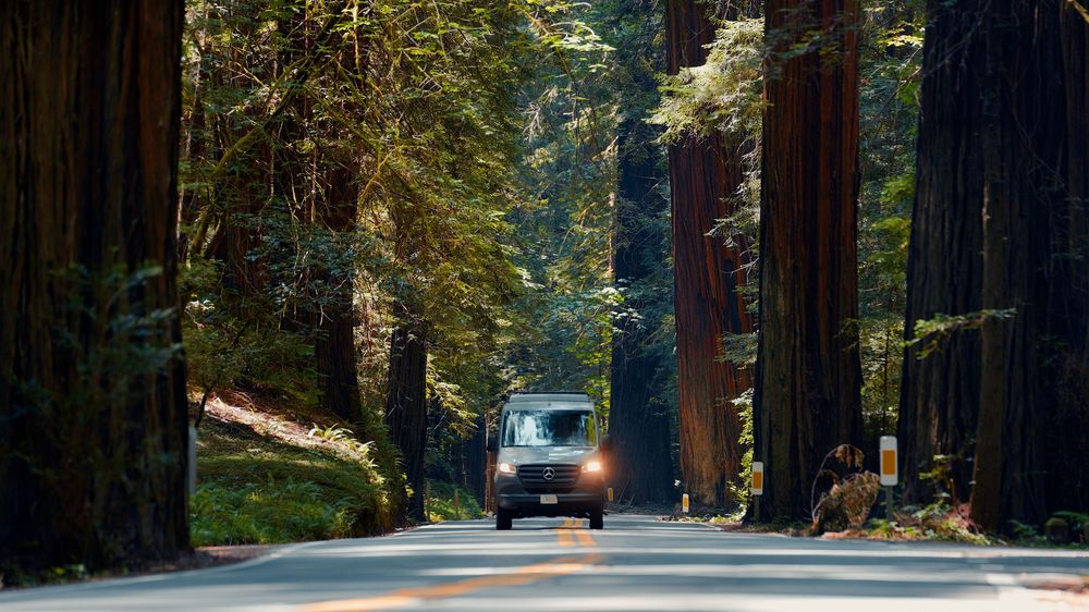 Mercedes Sprinter van driving through towering redwood forest on winding road.