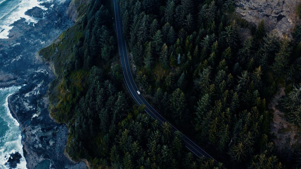 Bird's eye view of a coastal highway winding through evergreen forest and rocky cliffs.