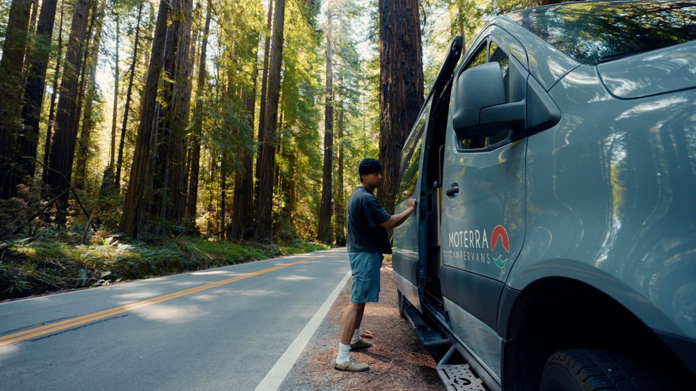 Winding forest road through tall pine trees with vehicles parked along the scenic route.