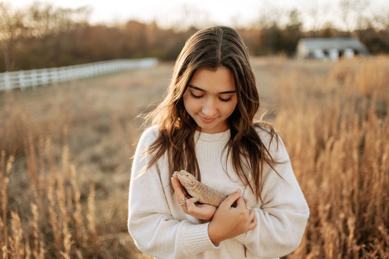 Young woman in white sweater holding a small bird in a golden field at sunset.